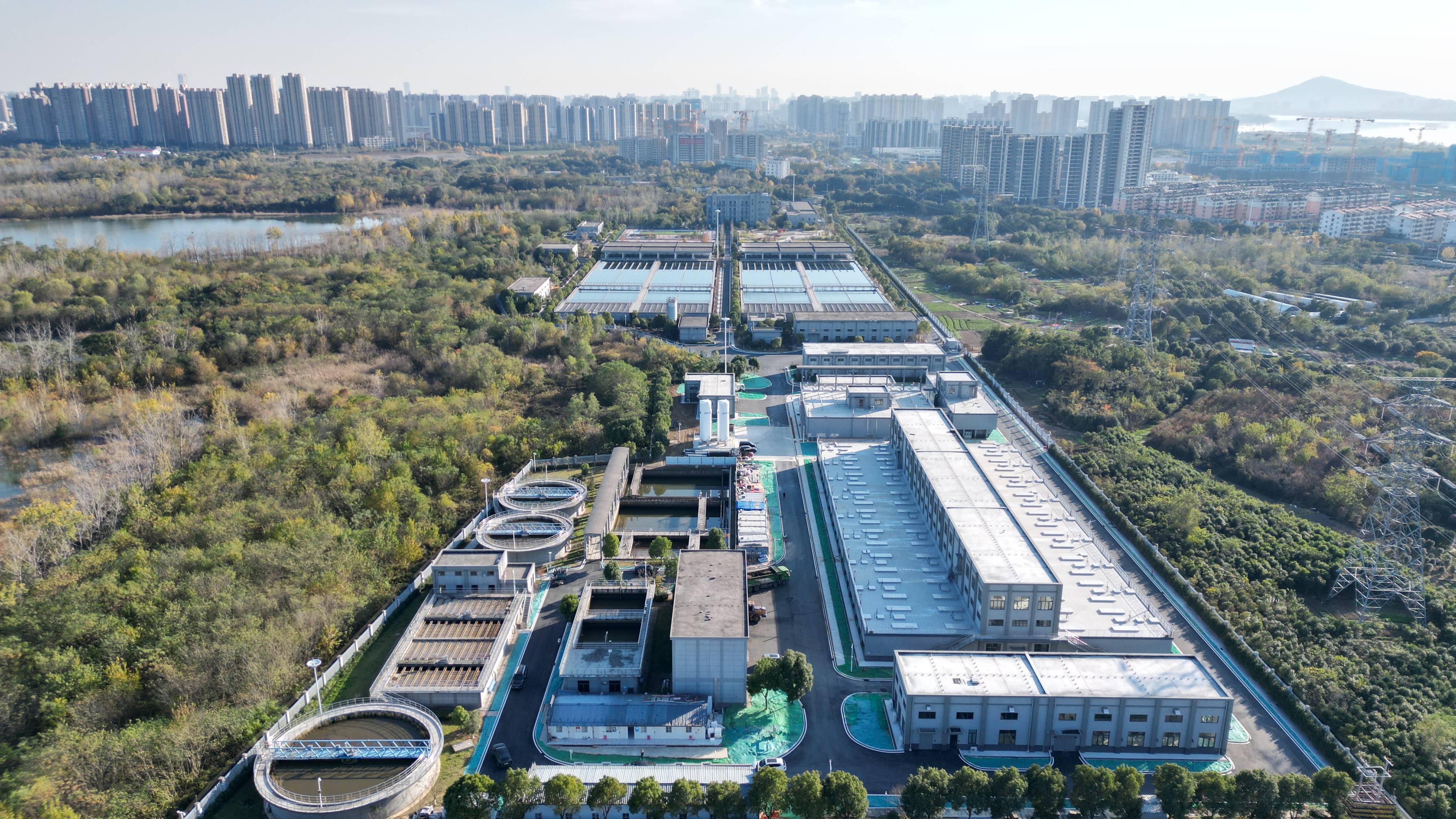 崇左市合肥专业企业价值增长(合肥市重点企业产业目录)