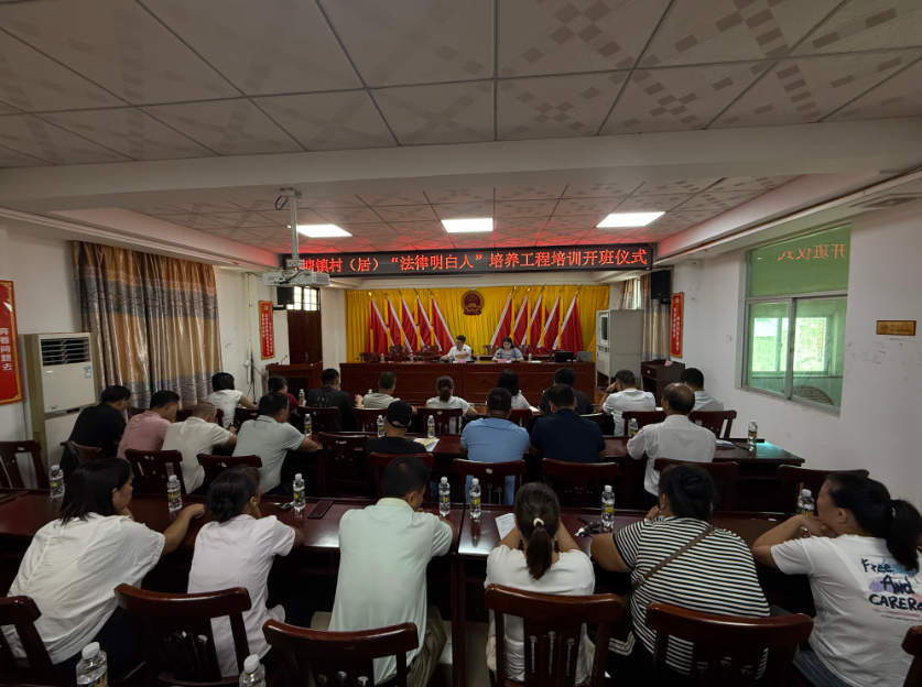 崇左市海口专业法务咨询(海南法之道法务咨询有限公司)