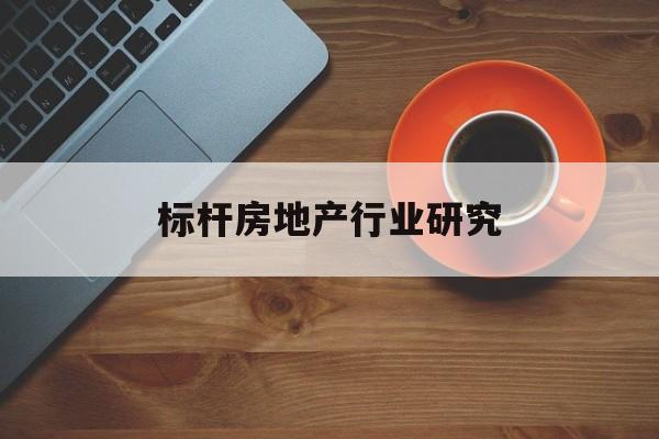 崇左市标杆房地产行业研究(房地产领域的标杆人物)